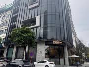 Bán nhà mặt phố Phố Phùng Chí Kiên, DT 105m2, căn góc, xây 9tầng 16011607