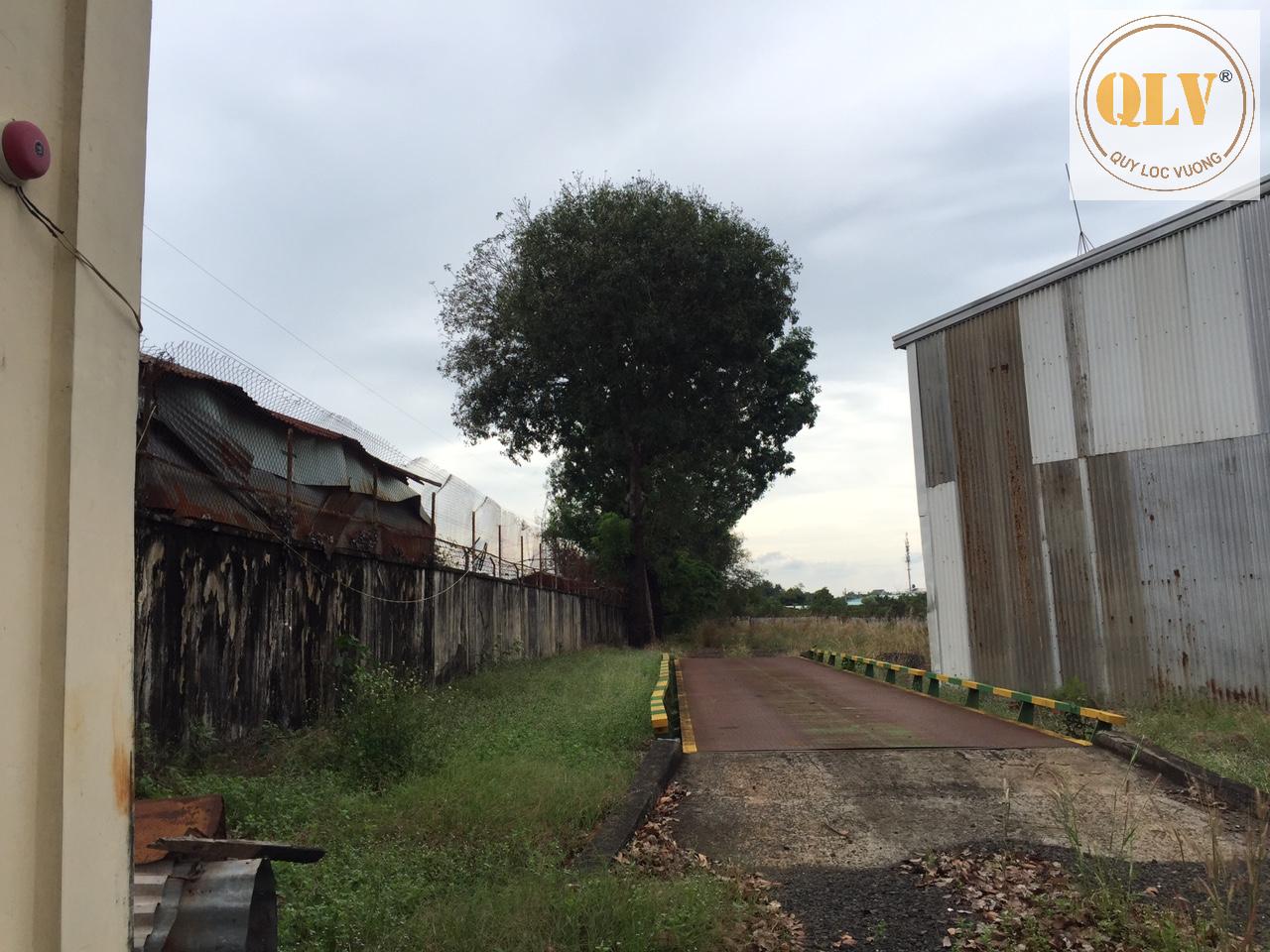 Cho thuê xưởng – TP. Đồng Xoài, Bình Phước – 6.600m² 16011673