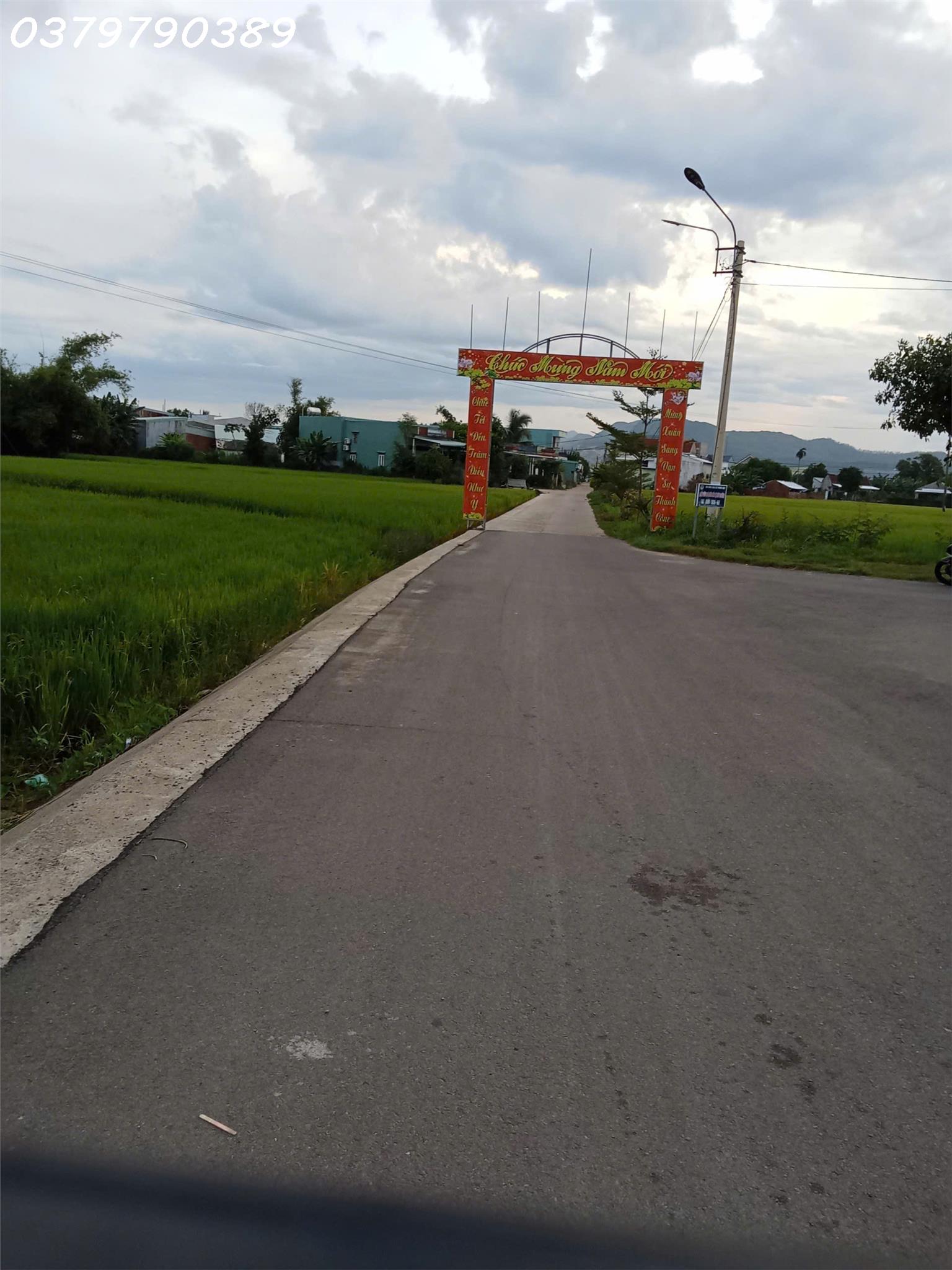 Chính chủ cần bán 140m2 tại Thôn Đại Lễ, Phước Hiệp, Tuy Phước, giá đầu tư 16011840