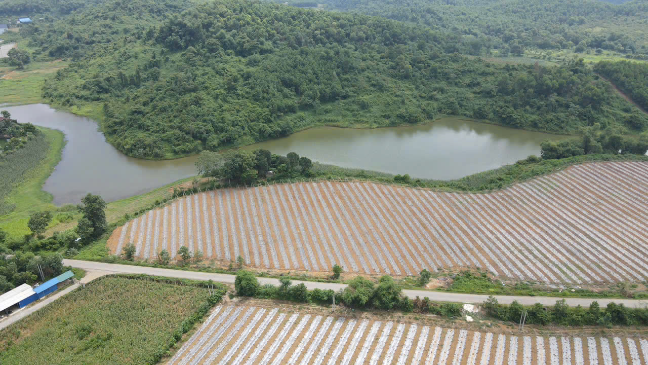 Bán đất  Nghỉ dưỡng view hồ tại An Thịnh - Thanh Sơn, Lương Sơn, Hòa Bình giá chỉ hơn 3Tr/m 16011843