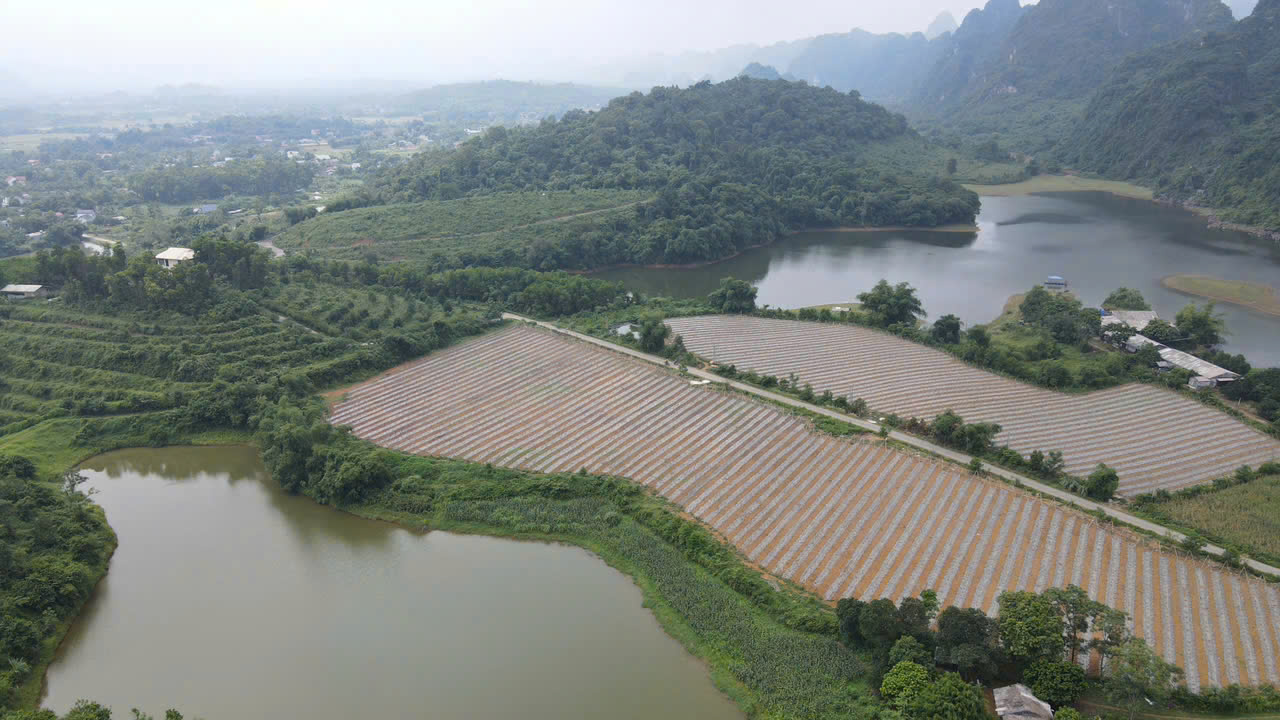 Bán đất  Nghỉ dưỡng view hồ tại An Thịnh - Thanh Sơn, Lương Sơn, Hòa Bình giá chỉ hơn 3Tr/m 16011843