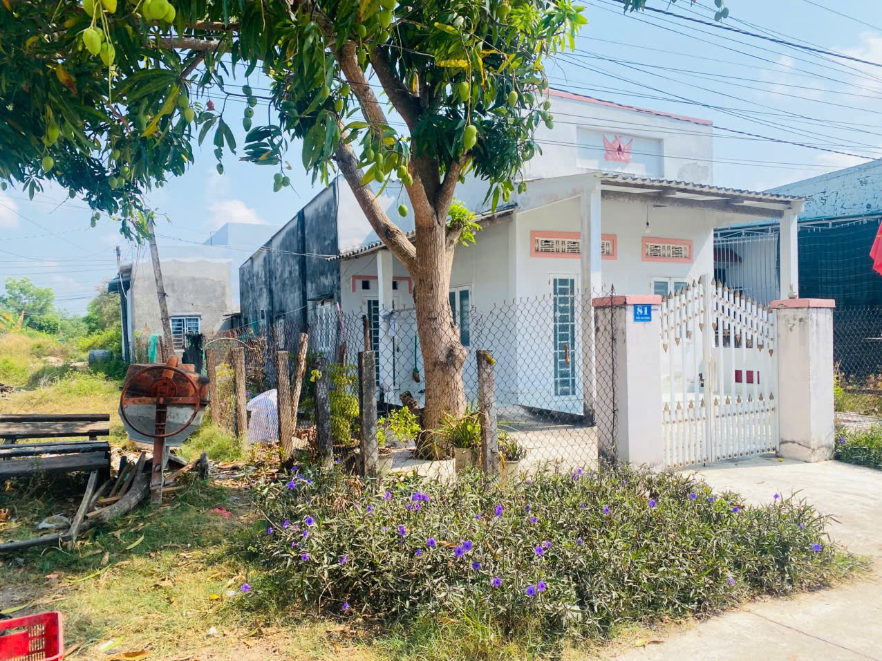 Bán nhà đường Trần Đại Nghĩa, Bình Tân, LaGi gần biển đồi dương 1.6 tỷ 16011849