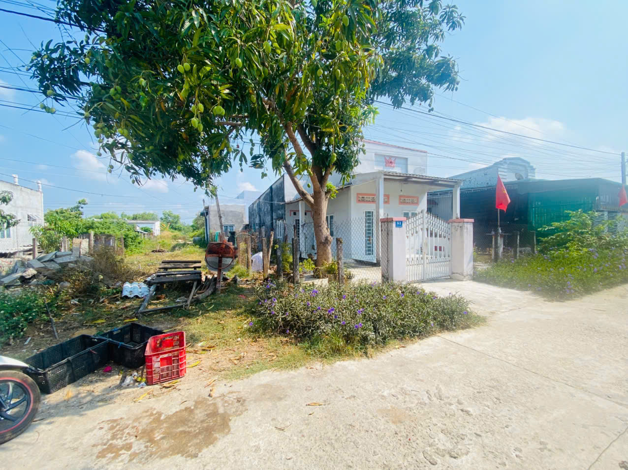 Bán nhà đường Trần Đại Nghĩa, Bình Tân, LaGi gần biển đồi dương 1.6 tỷ 16011849