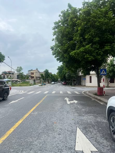 Bán lô đất trục chính đường Nguyễn Tuân, ph Thanh Bình, TP HD, 60.75m2, mt 4.5m, giá tốt 16011858