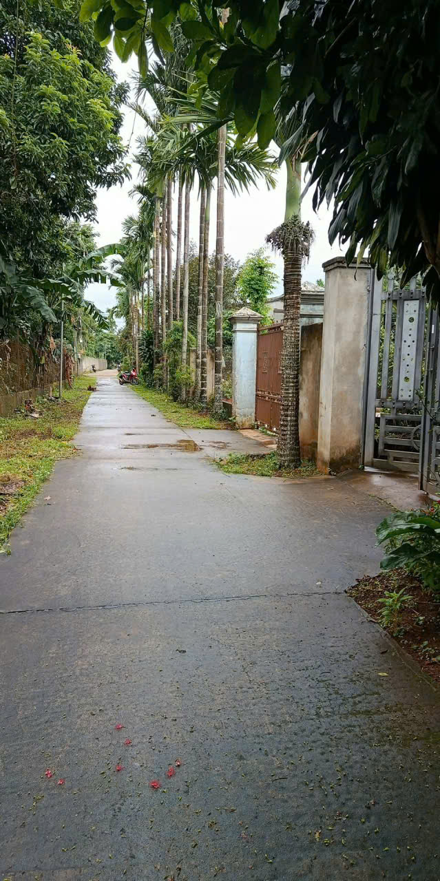 Chính chủ cần bán nhanh lô đất 2 mặt tiền, có sẵn nhà kiên cố, gần Quốc lộ 26 16011972