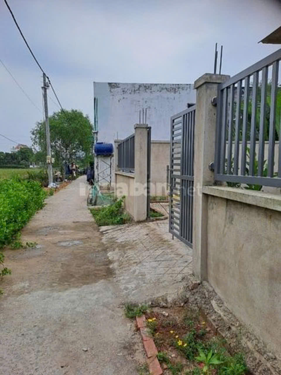 BÁN NHÀ CẦN GIỜ 3 TỶ
 16011983