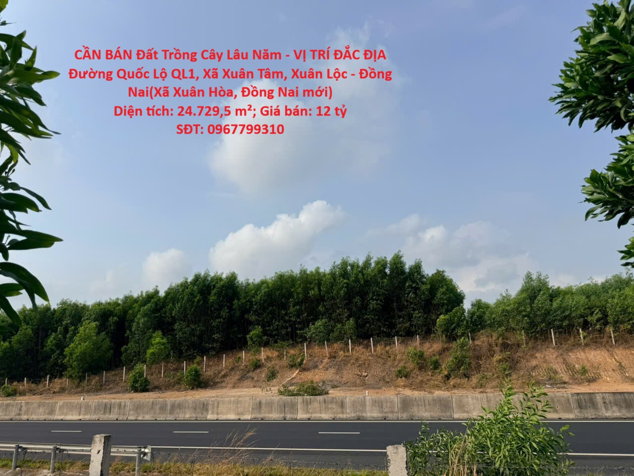 CẦN BÁN Đất Trồng Cây Lâu Năm - VỊ TRÍ ĐẮC ĐỊA Đường Quốc Lộ QL1, Xã Xuân Tâm, Xuân Lộc - Đồng Nai 16011984