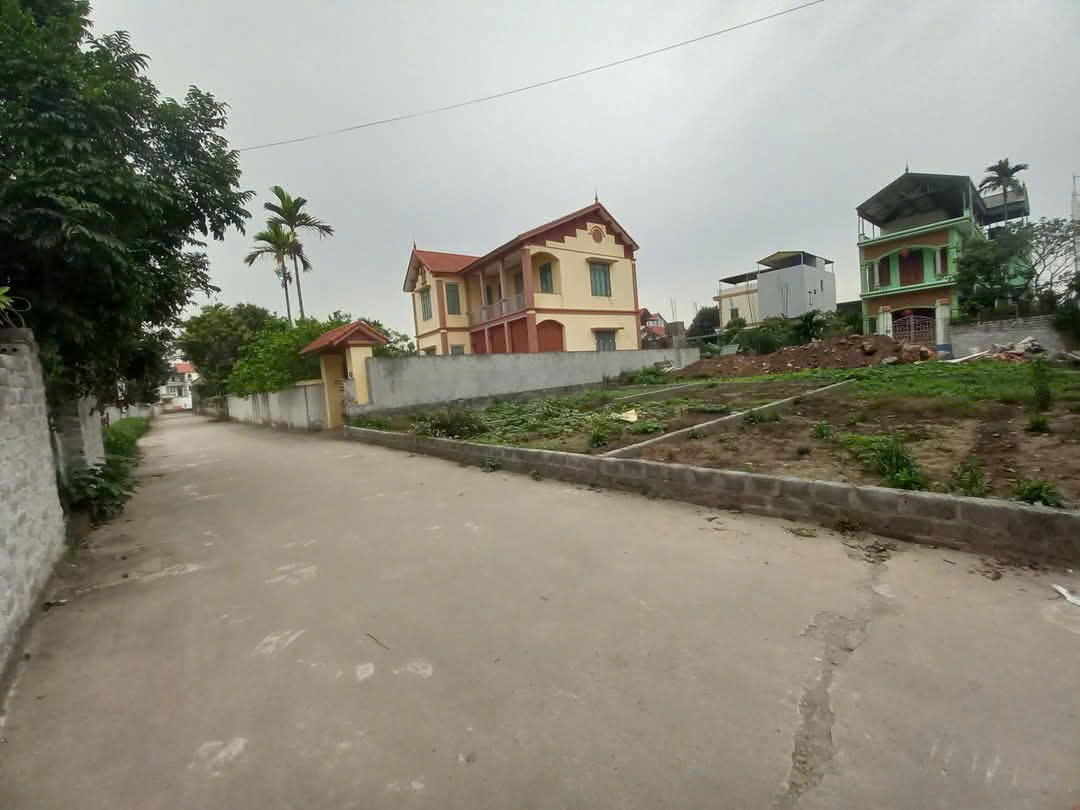 BÁN 300M² ĐẤT TẠI MINH TRÍ, SÓC SƠN, HÀ NỘI - MẶT TIỀN RỘNG, Ô TÔ VÀO TẬN ĐẤT 16011991