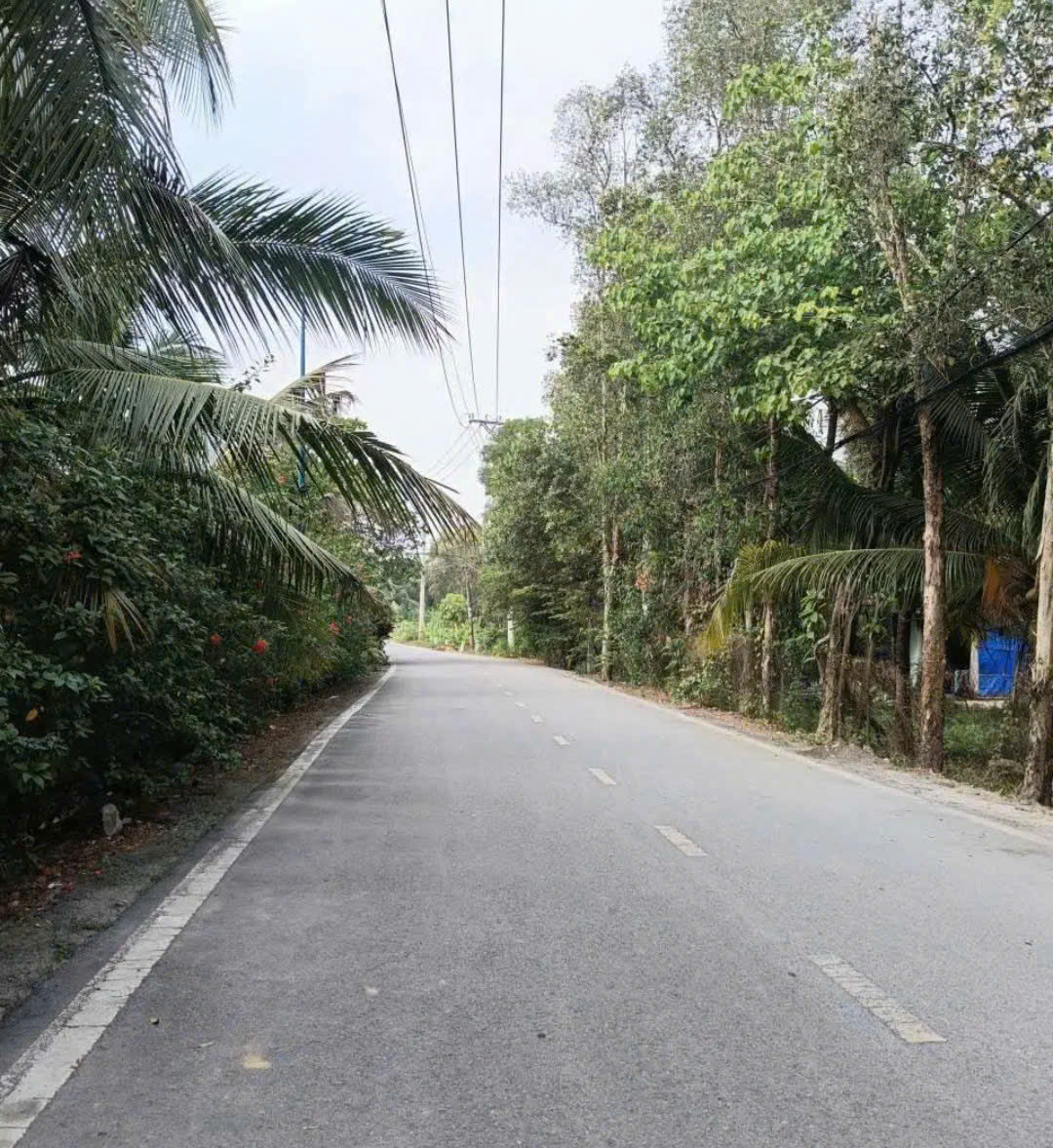 HÀNG HIẾM NHỊ BÌNH 12 – MẶT TIỀN HƠN 20M – 1.500M² GIÁ NGỘP 14 TỎI 16012030