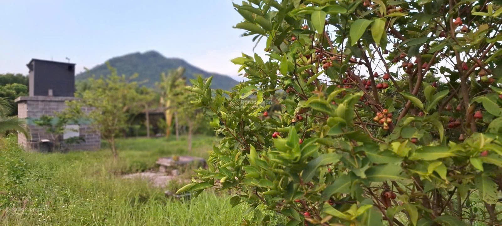 ĐẤT ĐẸP – GIÁ TỐT - CẦN BÁN NHANH LÔ ĐẤT TẠI Đường Hương Lộ 62, Xã Diên Thọ,  Diên Khánh, Khánh Hòa 16012158