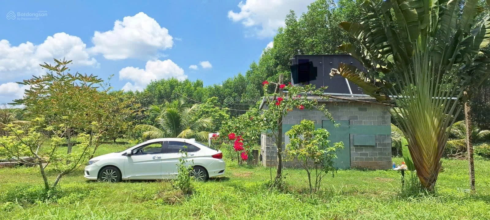 ĐẤT ĐẸP – GIÁ TỐT - CẦN BÁN NHANH LÔ ĐẤT TẠI Đường Hương Lộ 62, Xã Diên Thọ,  Diên Khánh, Khánh Hòa 16012158
