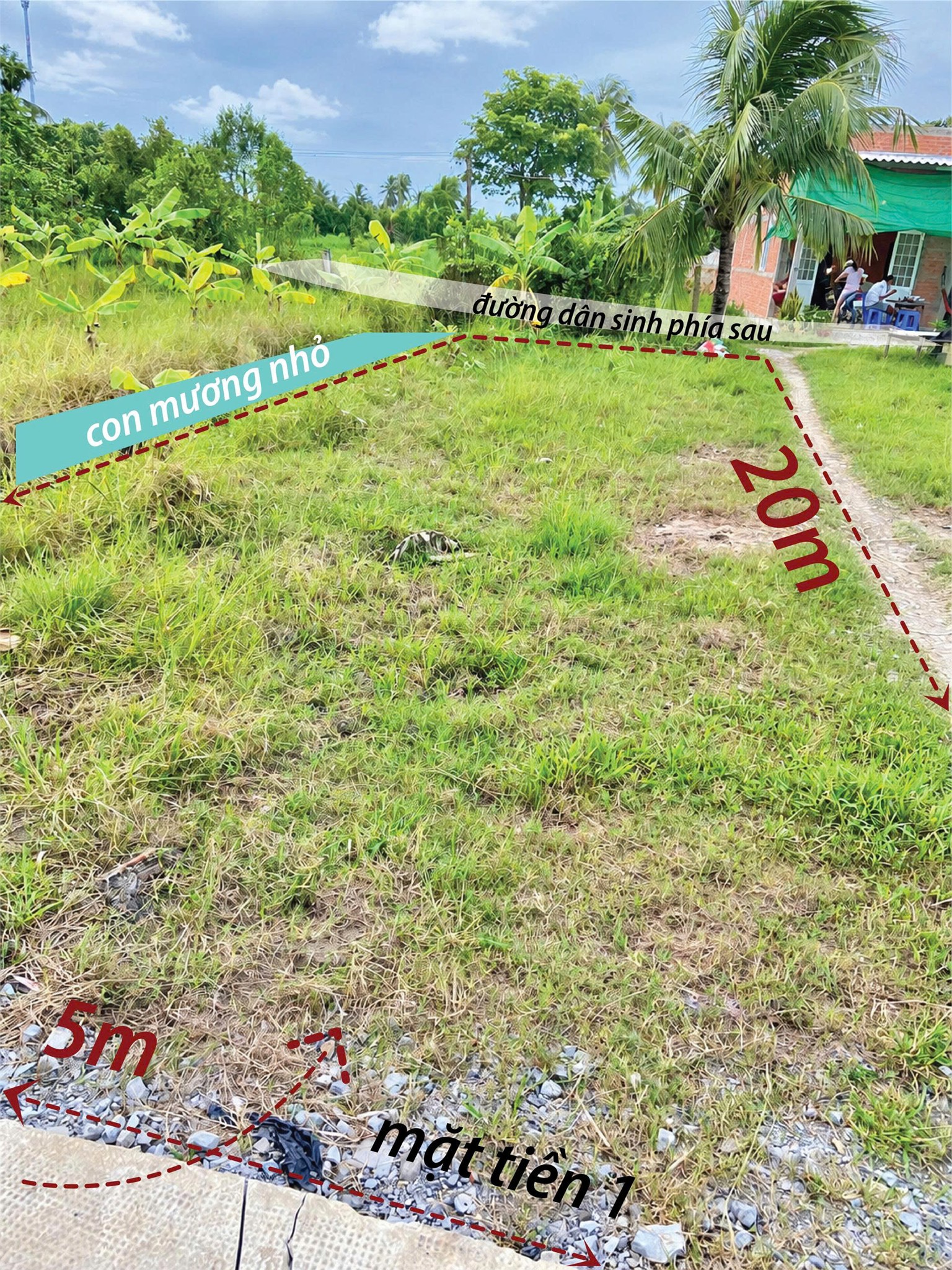 BÁN ĐẤT 100M² – ĐÃ THỔ CƯ – VỊ TRÍ ĐẸP, 3 MẶT THOÁNG ( 10P DI CHUYỂN TỪ TRUNG TÂM TÂN AN - Long An) 16012256