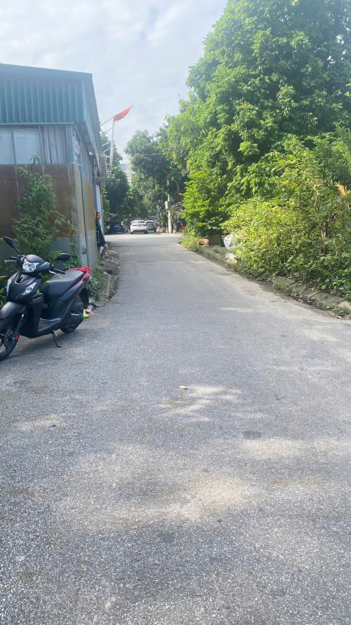 ĐẤT ĐẤU GIÁ VOI PHỤC – GIA LÂM  LÔ ĐẸP 79–80M²  MẶT TIỀN 5M  ĐƯỜNG 11M CÓ VỈA HÈ 16012289