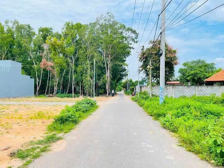 ĐẤT AN NGÃI, đã có sổ công chứng liền trong ngày* Diện tích: 5*17m, vị trí đẹp chỉ có 580 triệu 16012297