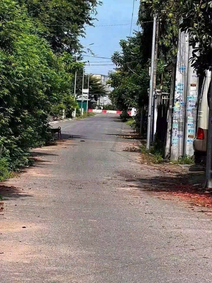 ĐẤT AN NGÃI, đã có sổ công chứng liền trong ngày* Diện tích: 5*17m, vị trí đẹp chỉ có 580 triệu 16012297