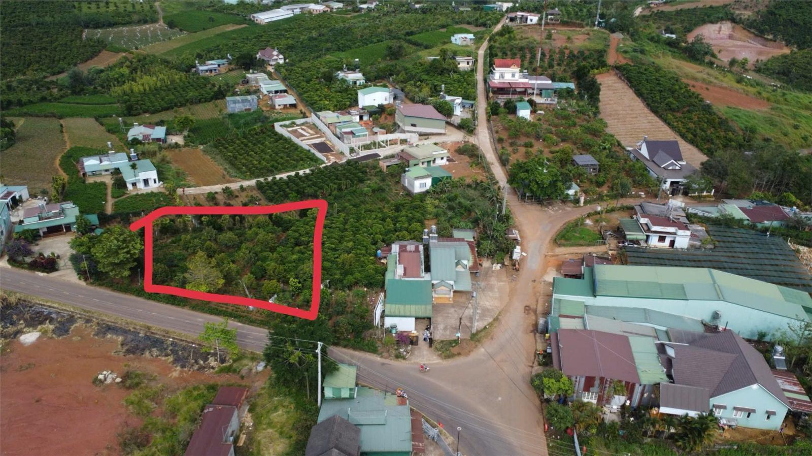 ĐẤT ĐẸP – GIÁ TỐT - CẦN BÁN GẤP LÔ ĐẤT MẶT TIỀN Đường Lý Thái Tổ, Phường 2, TP. Bảo Lộc, Lâm Đồng 16012307