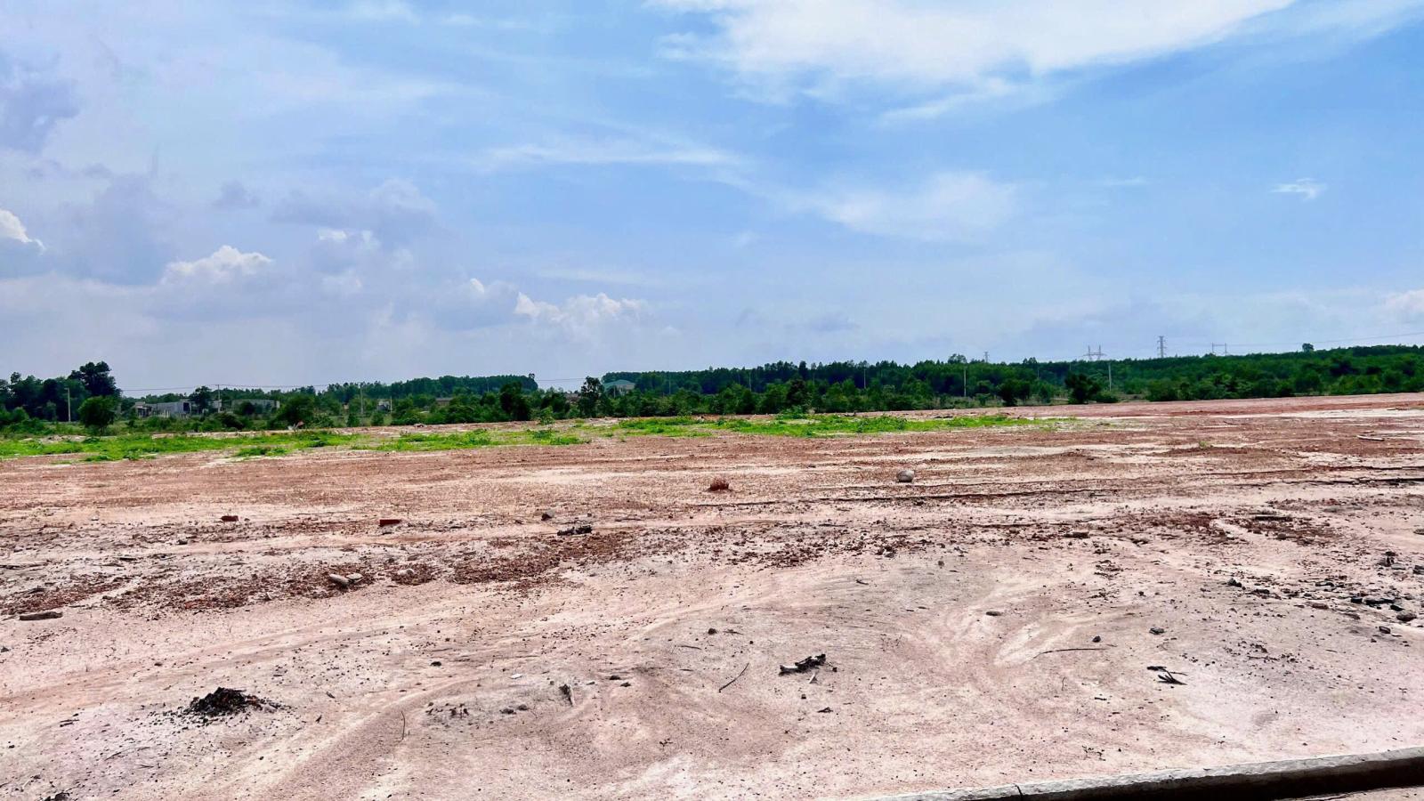 D146 chuyển nhượng quyền sử dụng đất KCN, DT 30,000m2 thu hút linh hoạt ngành nghề 16012390