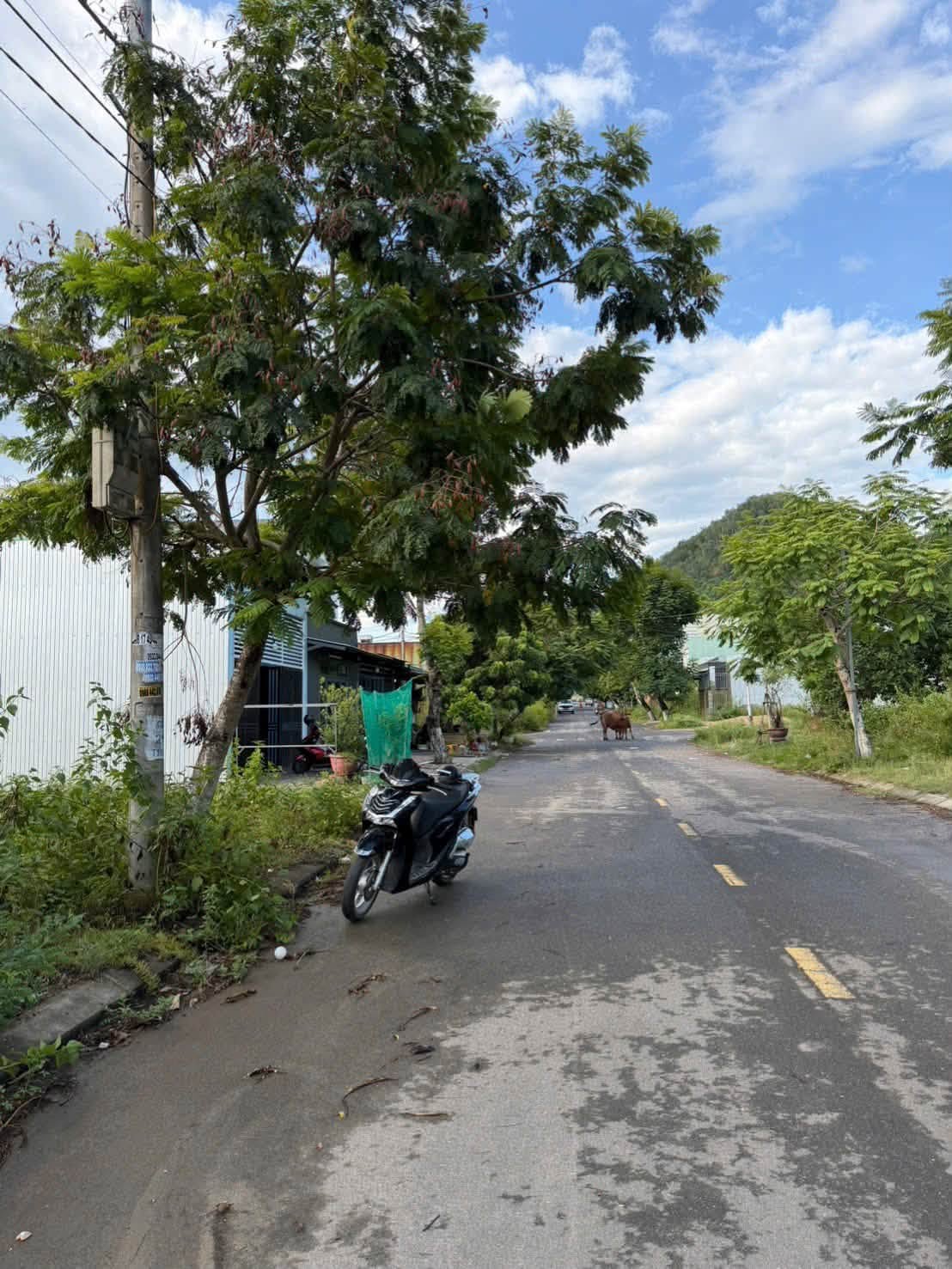 🔴💥Bán đất đường 7,5m Đại La 2 - Gần đường Hoàng Văn Thái 16012435