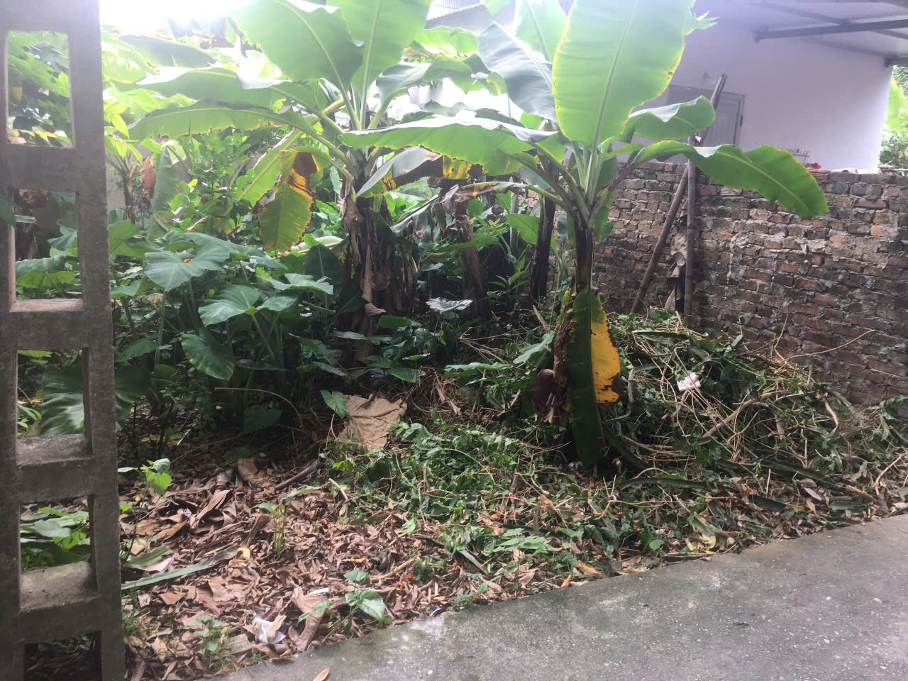 CHÍNH CHỦ BÁN ĐẤT TẠI TÂN TRẠI, PHÚ CƯỜNG, SÓC SƠN, HÀ NỘI. 16012446