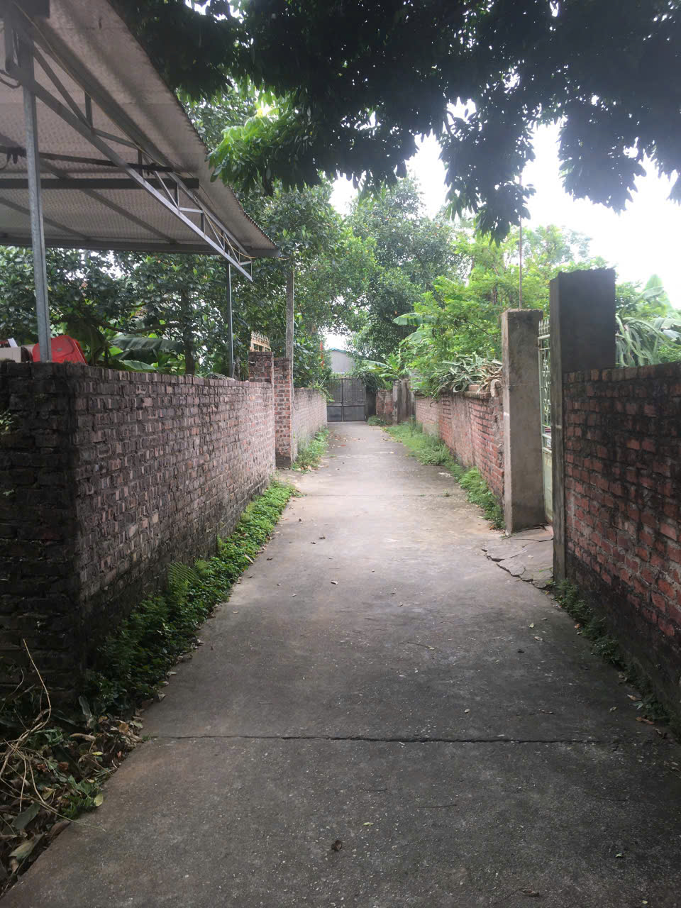 CHÍNH CHỦ BÁN ĐẤT TẠI TÂN TRẠI, PHÚ CƯỜNG, SÓC SƠN, HÀ NỘI. 16012447