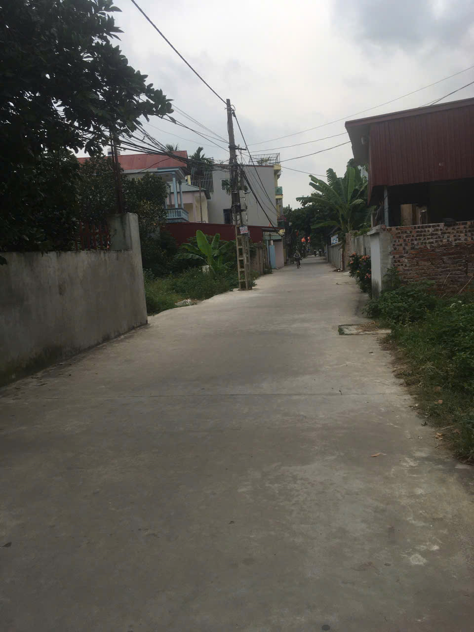 CHÍNH CHỦ BÁN ĐẤT TẠI TÂN TRẠI, PHÚ CƯỜNG, SÓC SƠN, HÀ NỘI. 16012447