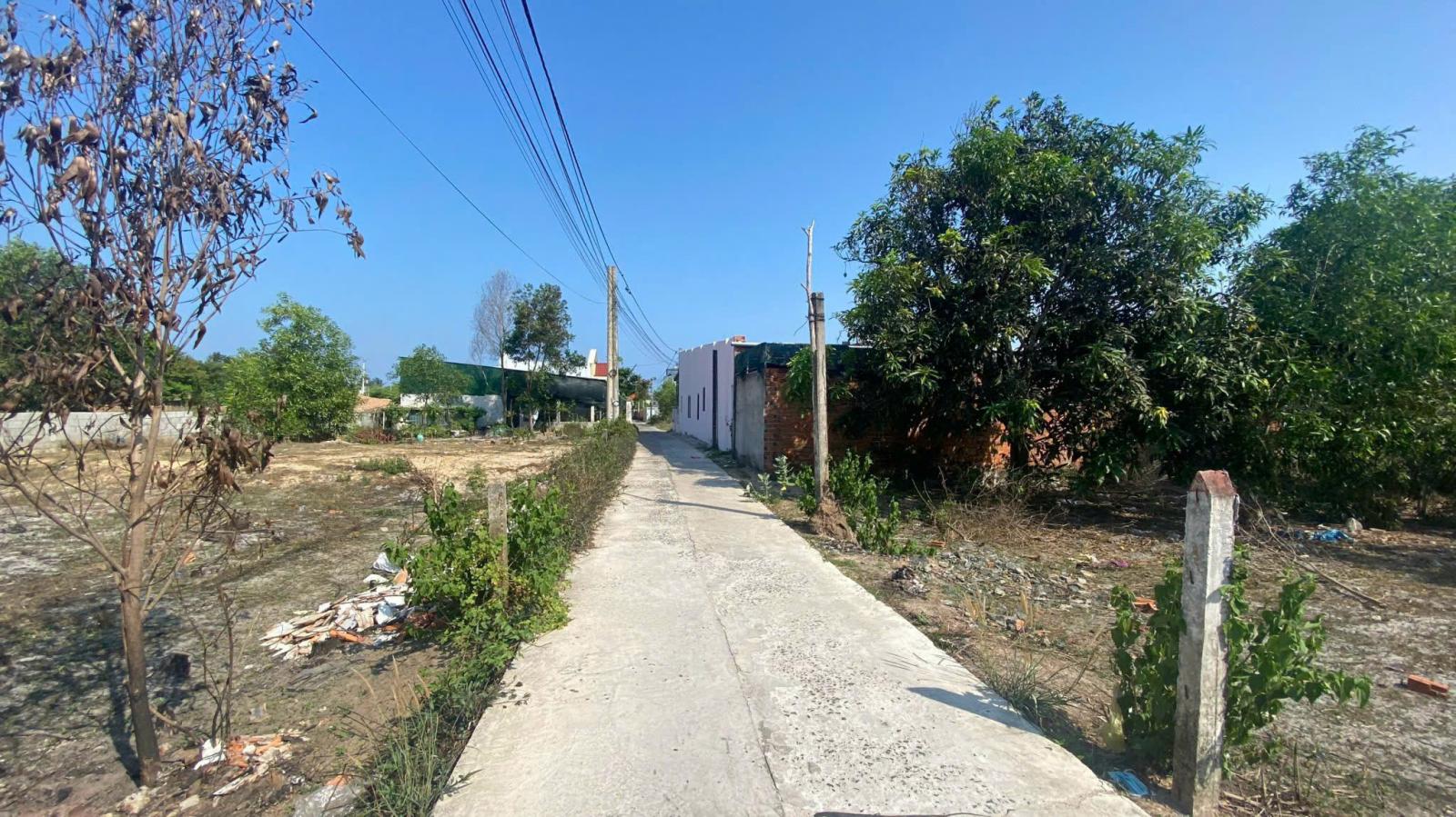 Bán 10m x 15m đất thổ cư Hẻm Nguyễn Chí Thanh, LaGi đại hạ giá còn 1 tỷ 16012449