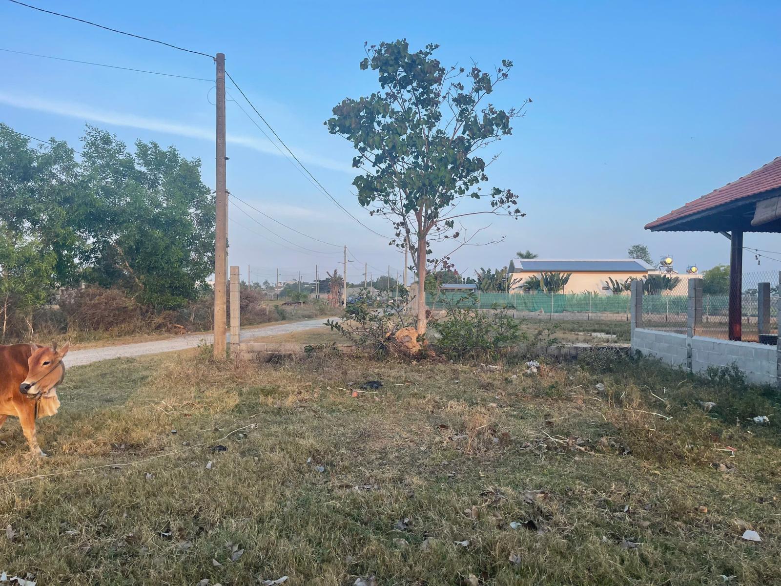 Bán 12m đất ODT 2 mặt đường Hẻm Đinh Bộ Lĩnh - Phước Hội - LaGi giá mềm 16012460