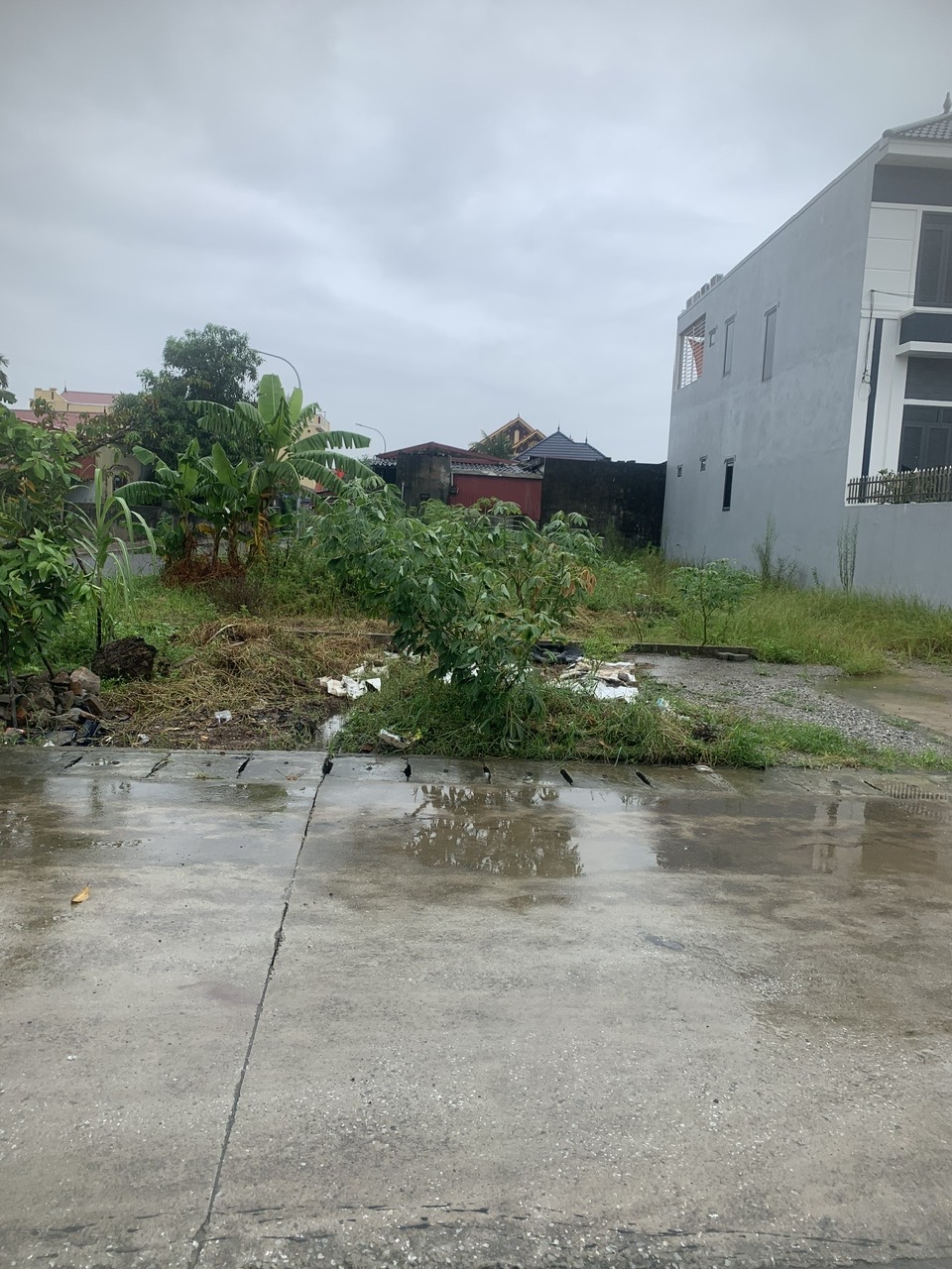 Chính chủ chuyển nhượng 120m2 đất Đức Phong, Đại Đồng, Kiến Thụy - Đường 15m, 2 sổ riêng 16012560