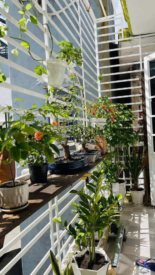 # Nhà 40m ra Mặt Tiền Phạm Văn Nghị, Chợ Tân Lập, 2 tầng sạch đẹp 2.55 tỷ 16012681
