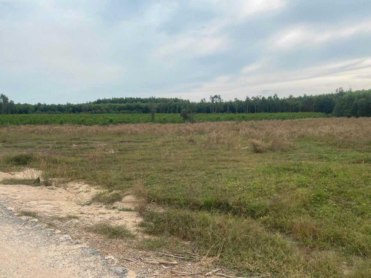 Bán 2000m2 đất mặt tiền Lê Đức Thọ, Tân Bình, LaGi giá rẻ 800 triệu 16012694