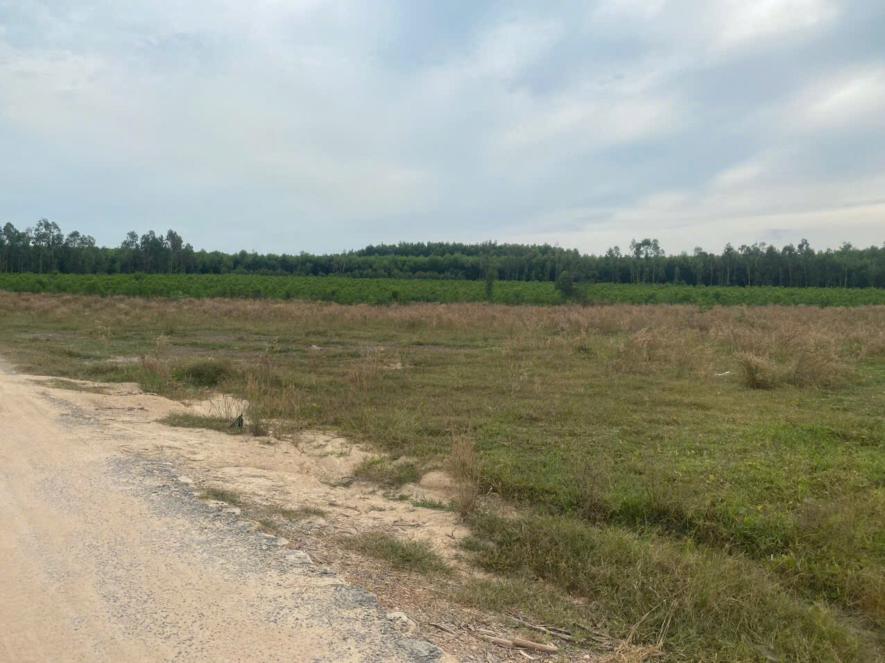 Bán 2000m2 đất mặt tiền Lê Đức Thọ, Tân Bình, LaGi giá rẻ 800 triệu 16012694