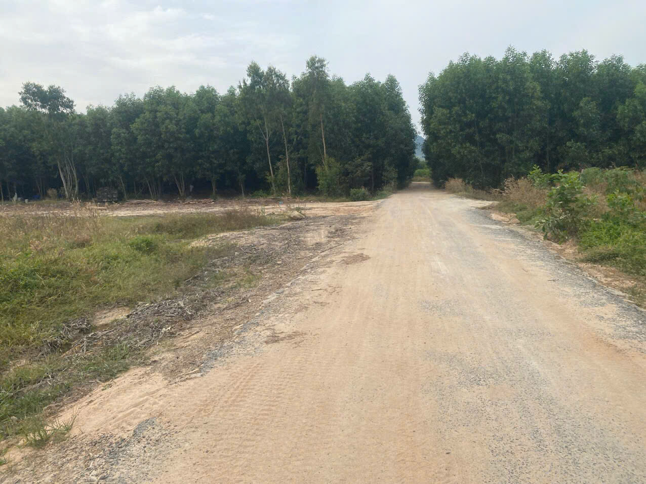 Bán 2000m2 đất mặt tiền Lê Đức Thọ, Tân Bình, LaGi giá rẻ 800 triệu 16012694