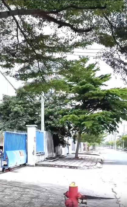 Nhà xưởng quy mô lớn 5.000m2 - KCN Tân Đô, Đức Hòa, Tây Ninh - 2 cổng,  sổ hồng riêng 16012696
