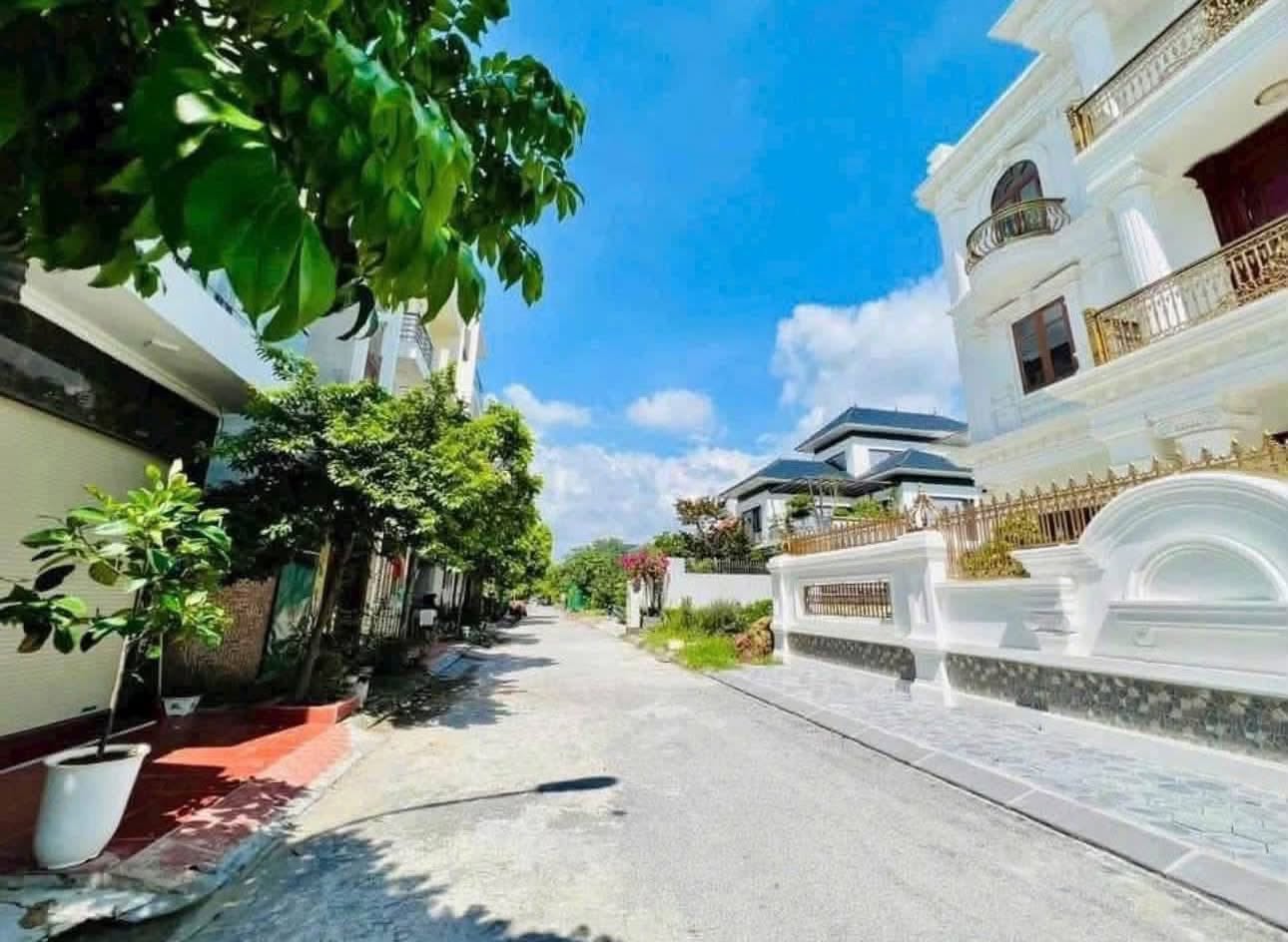 Bán đất biệt thự mặt phố Nguyễn Viết Xuân, KĐT An Phú, ph Tân Bình, TP HD, 250m2, mt rộng, giá tốt 16012724