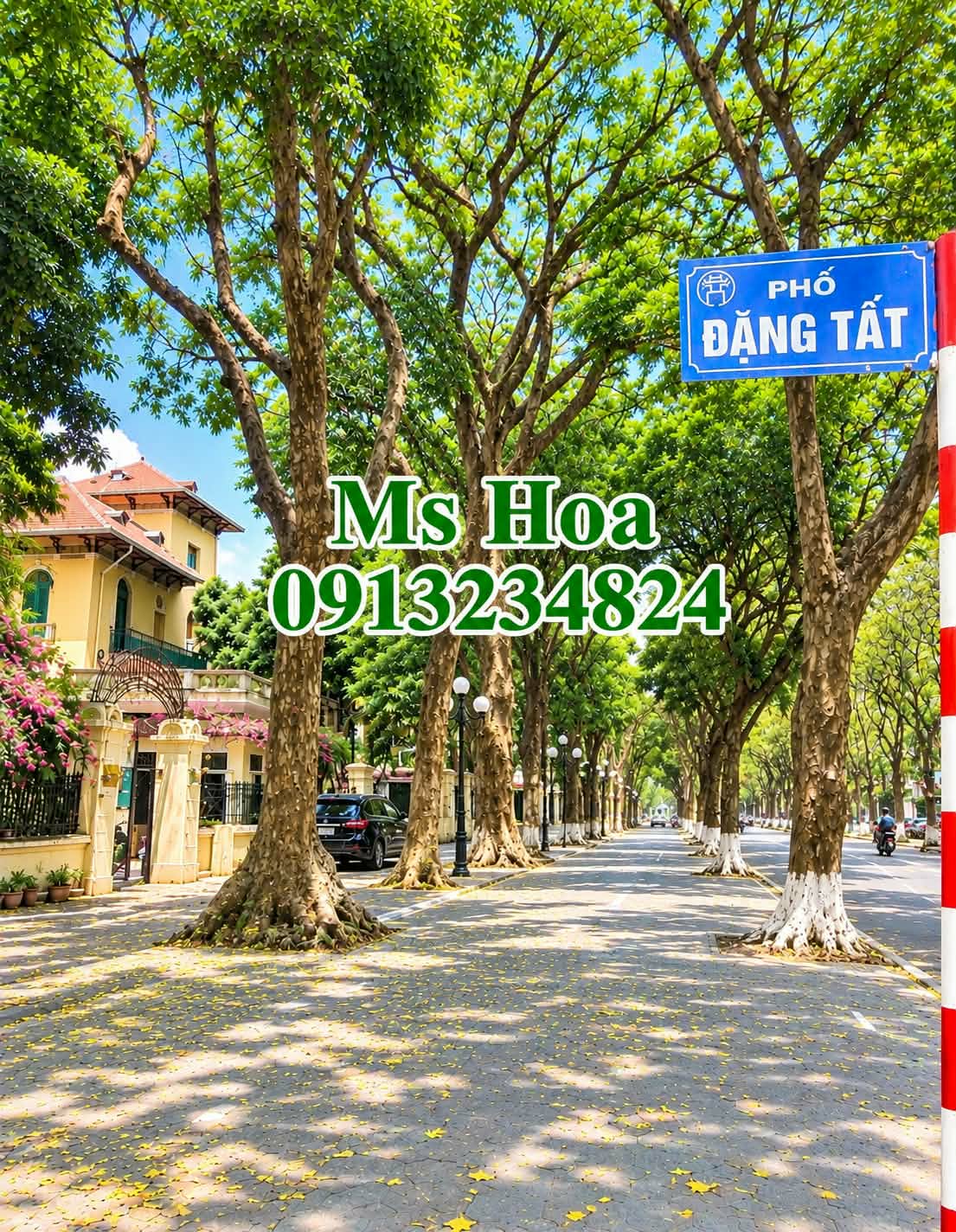 CHÍNH CHỦ CẦN BÁN GẤP NHÀ ĐẶNG TẤT PHỐ VIP BA ĐÌNH KD NHỎ Ô TÔ ĐỖ CỔNG 75M X 4 TẦNG MT4,5M 27,5 TỶ . 16012730