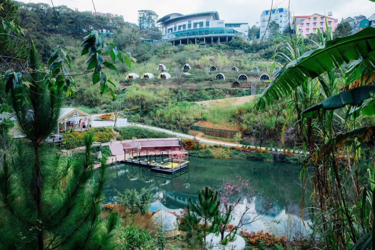 Bán đất khe sanh phường 10 Đà Lạt 16012918