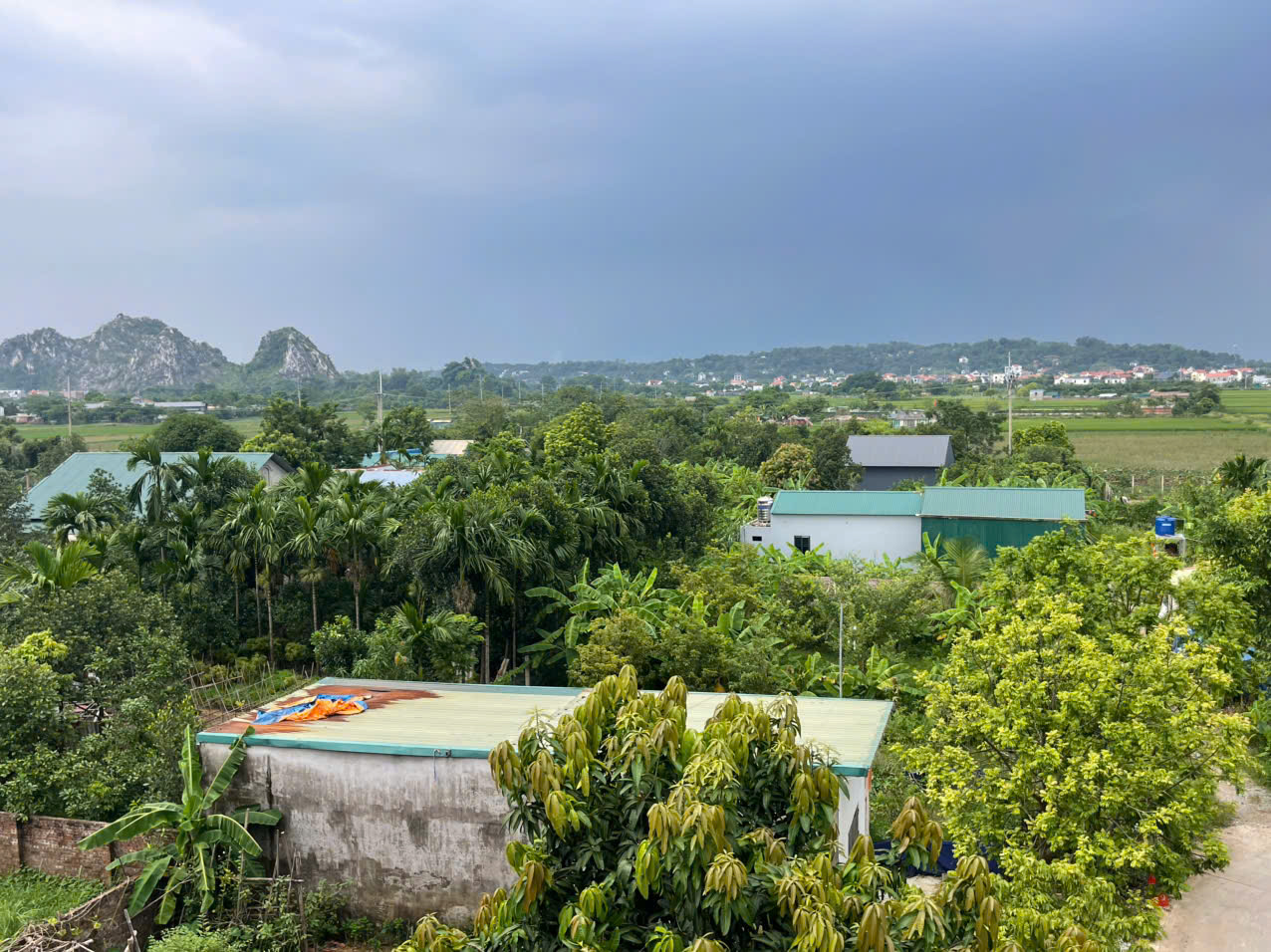 ☑️ Phụng Châu – Chương Mỹ, nhà 4 tầng, đường ô tô tránh, giá hơn 3 tỷ 16013004