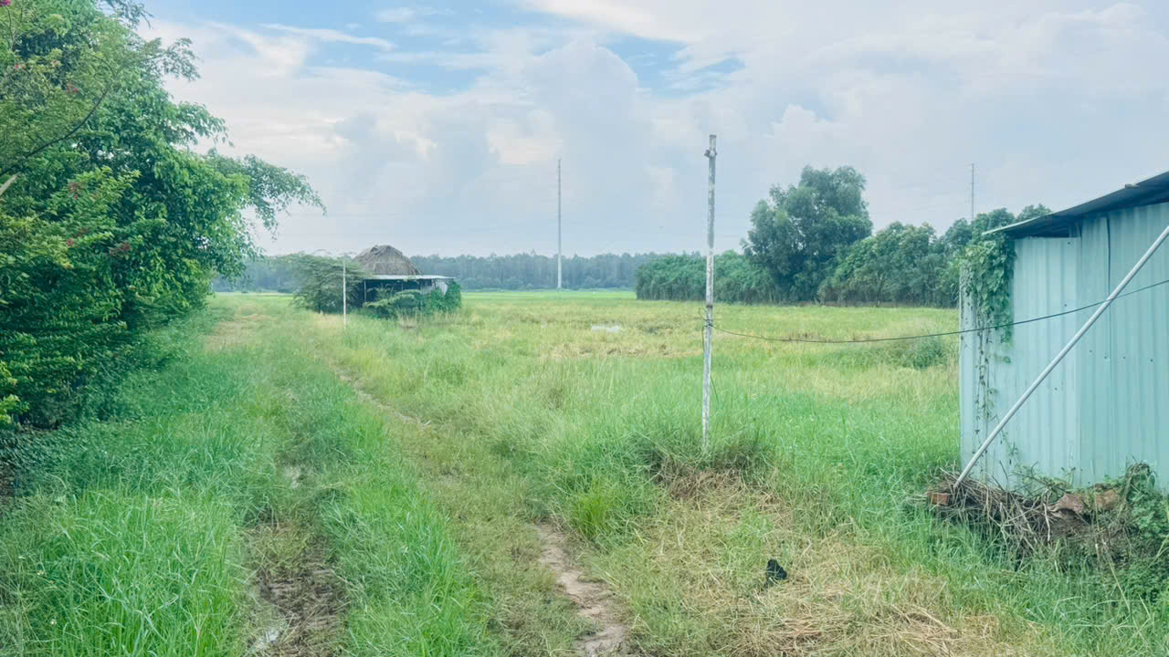 Bán gấp 9000m2 Đất NN Xuân Thới Thượng 2, Bà Điểm, Hóc Môn. 22.5 tỷ. 16013094
