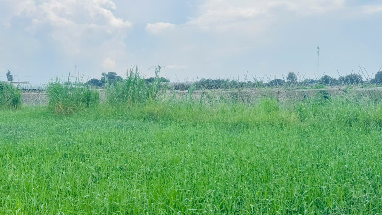 Bán gấp 9000m2 Đất NN Xuân Thới Thượng 2, Bà Điểm, Hóc Môn. 22.5 tỷ. 16013094