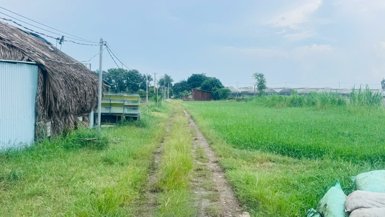 Bán gấp 9000m2 Đất NN Xuân Thới Thượng 2, Bà Điểm, Hóc Môn. 22.5 tỷ. 16013095