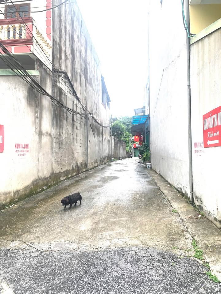 Bán lô đất 72m2 ( full thổ cư ) Thuộc Ngõ 95 - Đường Nguyễn Du – Phường Hà Giang 1- Hà Giang. 16013265