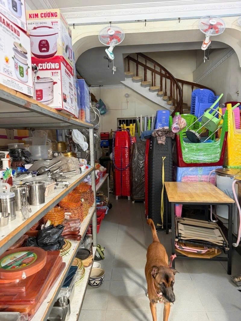 Bán nhà Mặt tiền Phạm Văn Bạch - thông Nguyễn Sỹ Sách,  7x15m, 3 Tầng 1 đời chủ, 20,9 Tỷ. 16013281
