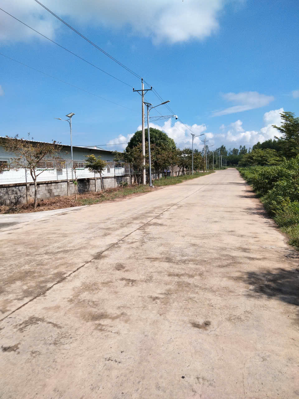BÁN 170 HA ( Hécta ) Đất ở Xã TÂN THẮNG - Huyện HÀM TÂN - Tỉnh BÌNH THUẬN CŨ Nay thuộc Xã Sơn Mỹ - 16013312