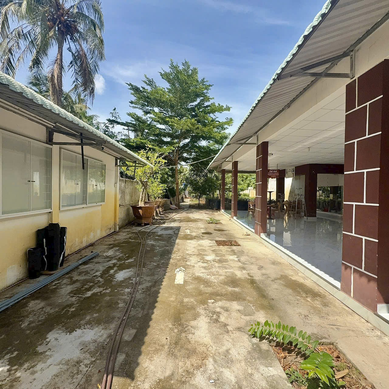 Bán Đất Và Nhà Xã Phú Hưng, Thành phố Bến Tre, Bến Tre  ( Phú Khương VL ) 16013518