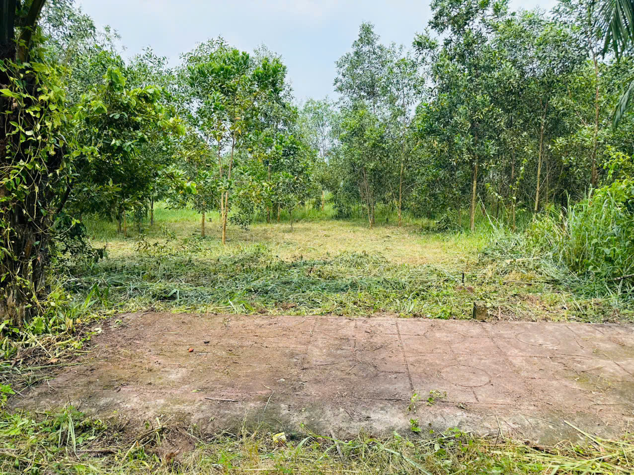 CẦN BÁN LÔ ĐẤT 100M² TẠI XÃ AN VIỄN – TP. ĐỒNG NAI 16013587
