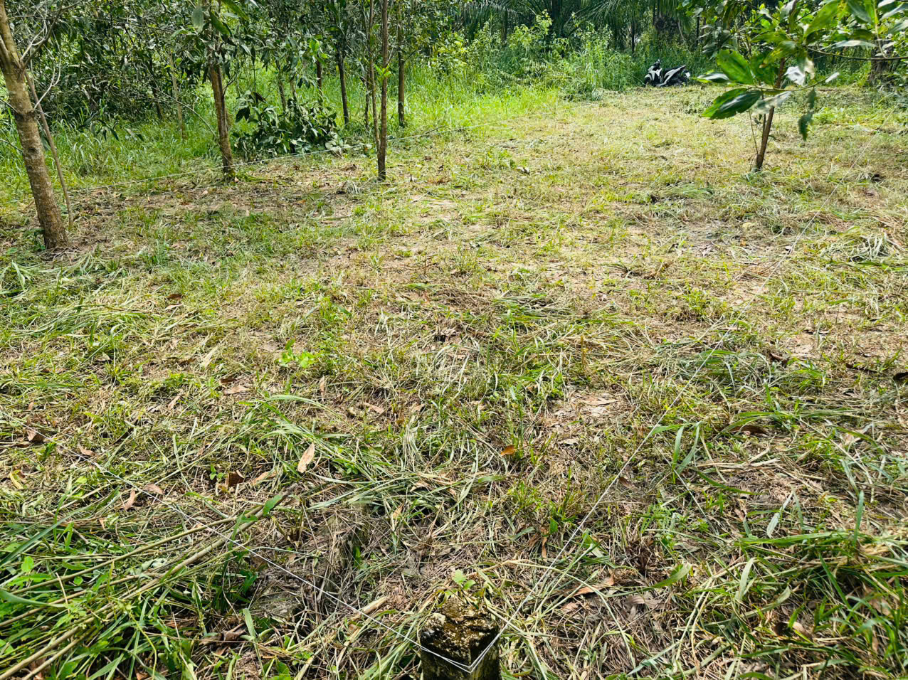 CẦN BÁN LÔ ĐẤT 100M² TẠI XÃ AN VIỄN – TP. ĐỒNG NAI 16013587