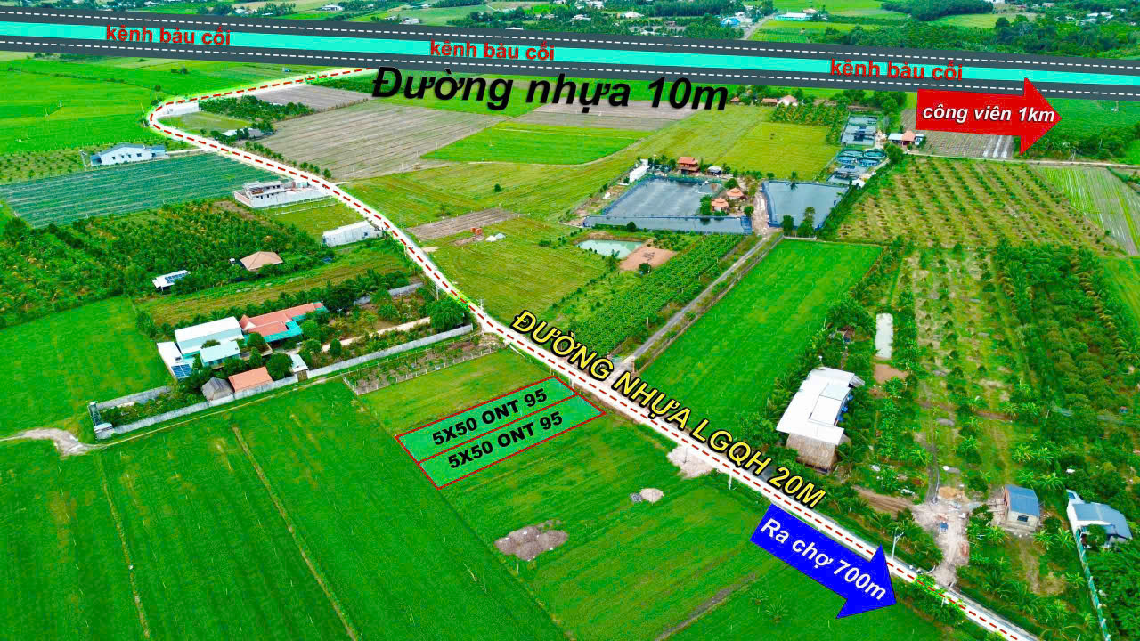 * HÀNG MỚI VỀ - CHỈ 2 LÔ DUY NHẤT TẠI TRUNG TÂM DƯƠNG MINH CHÂU * 16013629