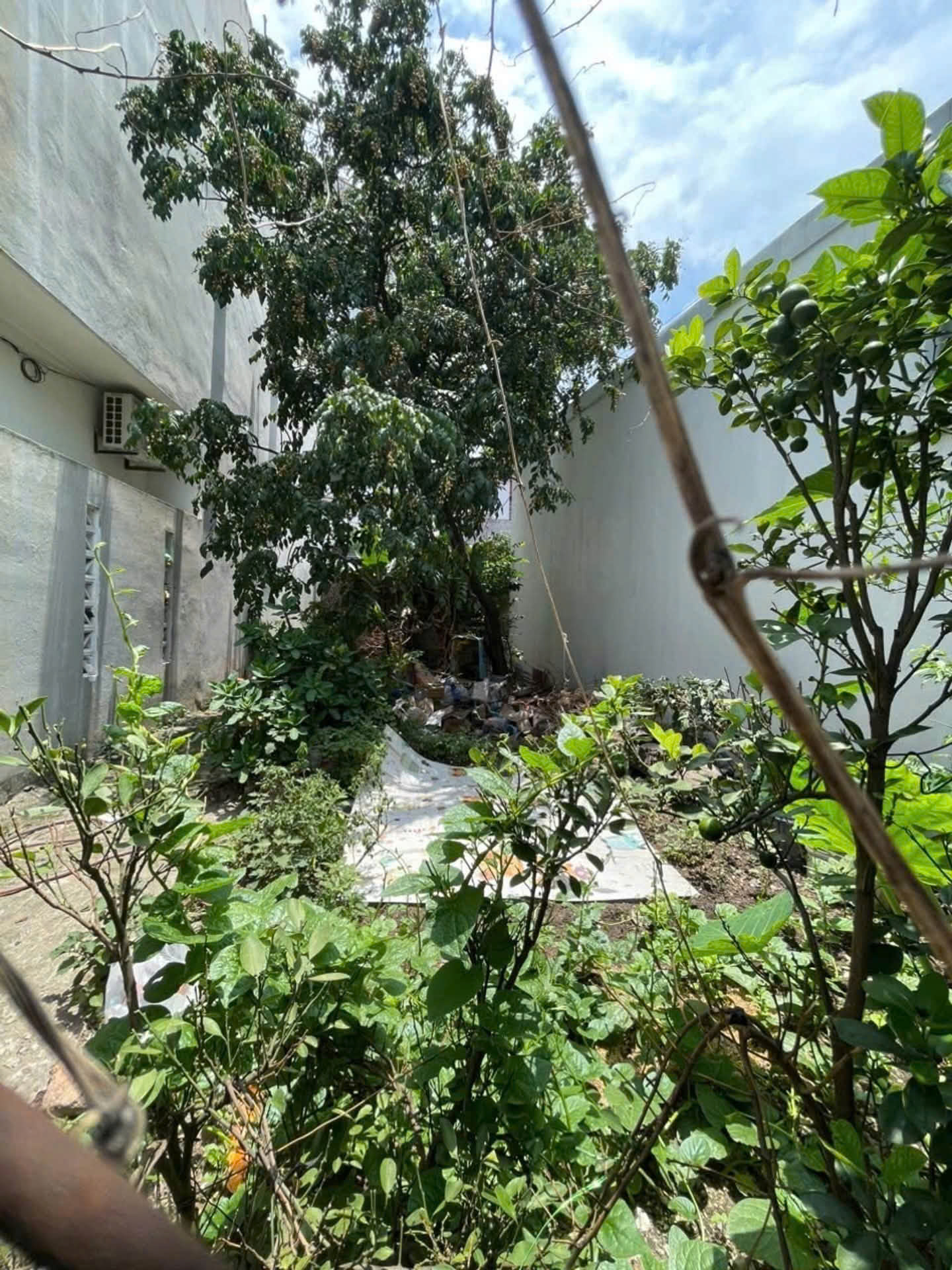 Bán đất Ngọc Thụy - Long Biên, lô góc 2 mặt tiền, ô tô đỗ cửa, 76,5m2, sổ đỏ chính chủ 16013670