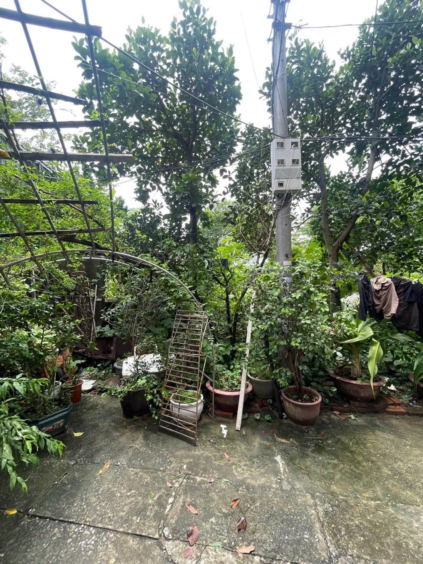 Bán đất Ngọc Thụy - Long Biên, lô góc 2 mặt tiền, ô tô đỗ cửa, 76,5m2, sổ đỏ chính chủ 16013670