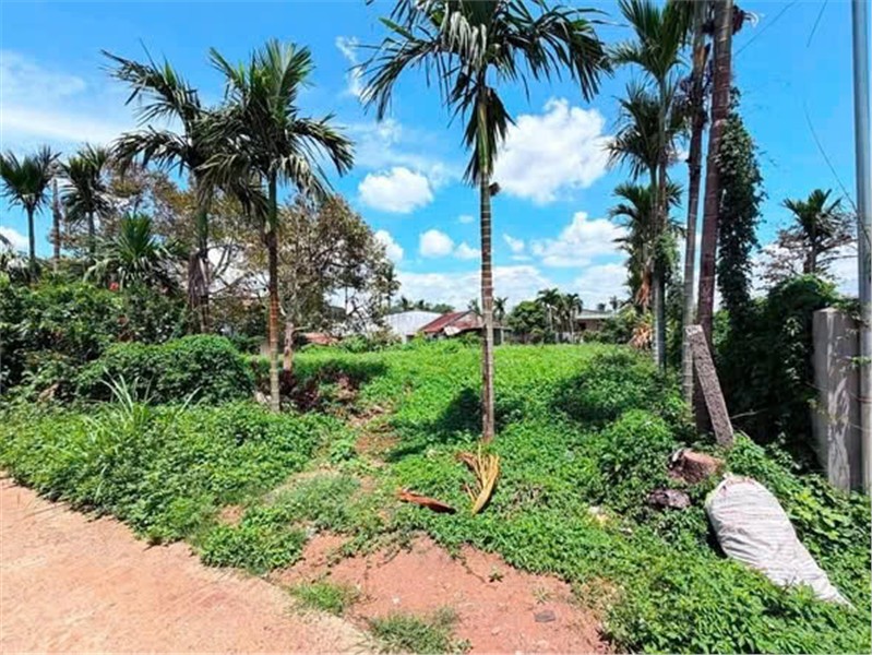 ĐẤT ĐẸP – GIÁ TỐT - CẦN BÁN NHANH 2 LÔ ĐẤT MẶT TIỀN TẠI Xã Ea Kênh, Huyện Krông Pắc, Tỉnh Đắk Lắk 16013752